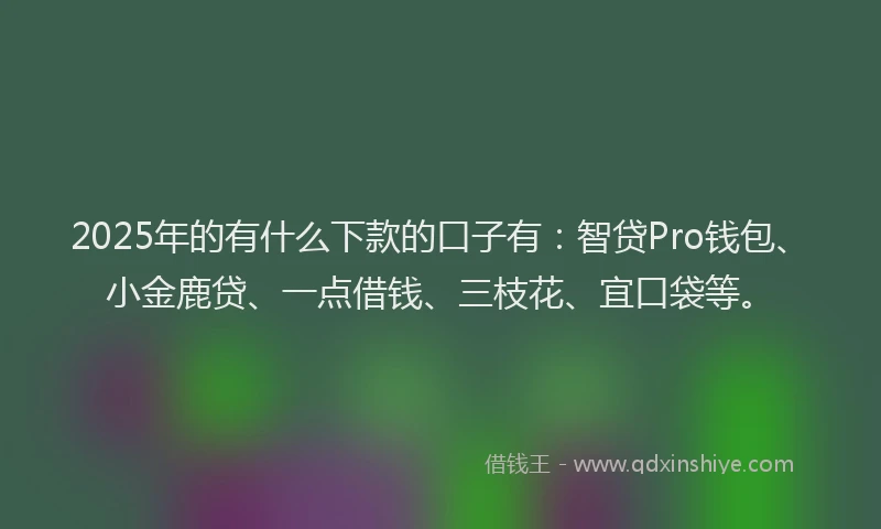 2025年的有什么下款的口子有：智贷Pro钱包、小金鹿贷、一点借钱、三枝花、宜口袋等。