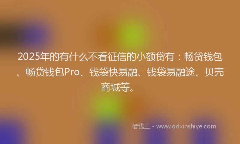 2025年的有什么不看征信的小额贷有：畅贷钱包、畅贷钱包Pro、钱袋快易融、钱袋易融途、贝壳商城等。