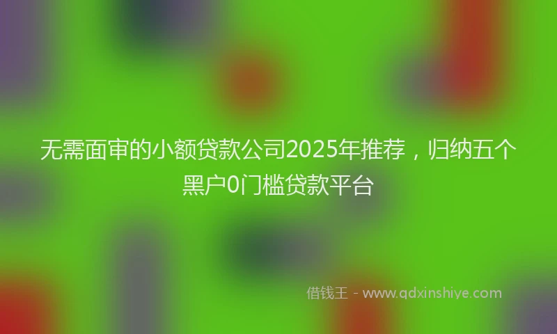 无需面审的小额贷款公司2025年推荐，归纳五个黑户0门槛贷款平台