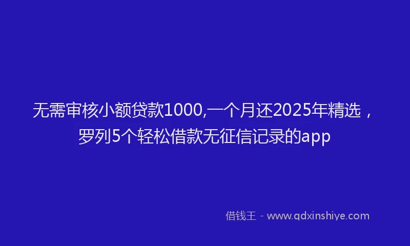 无需审核小额贷款1000,一个月还2025年精选，罗列5个轻松借款无征信记录的app