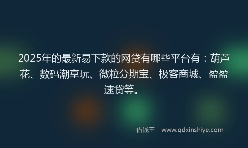 2025年的最新易下款的网贷有哪些平台有：葫芦花、数码潮享玩、微粒分期宝、极客商城、盈盈速贷等。