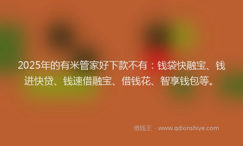 2025年的有米管家好下款不有：钱袋快融宝、钱进快贷、钱速借融宝、借钱花、智享钱包等。