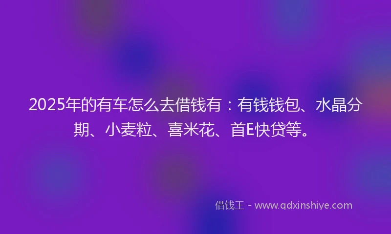 2025年的有车怎么去借钱有：有钱钱包、水晶分期、小麦粒、喜米花、首E快贷等。