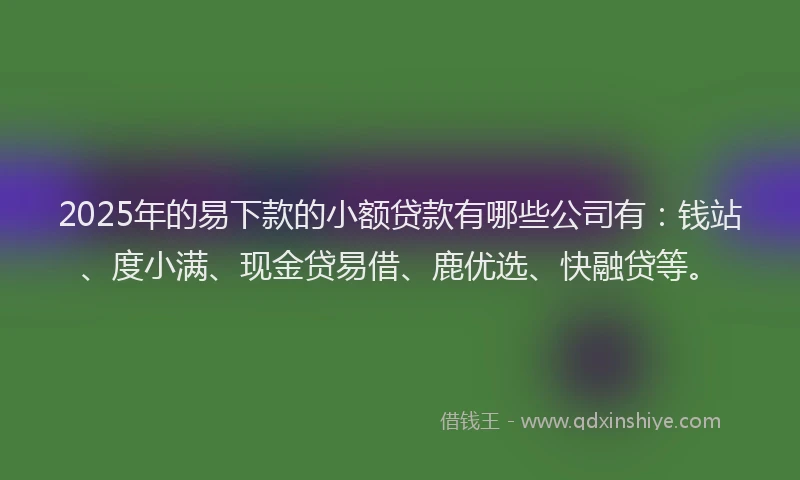 2025年的易下款的小额贷款有哪些公司有：钱站、度小满、现金贷易借、鹿优选、快融贷等。