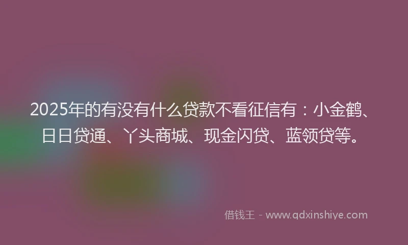 2025年的有没有什么贷款不看征信有：小金鹤、日日贷通、丫头商城、现金闪贷、蓝领贷等。