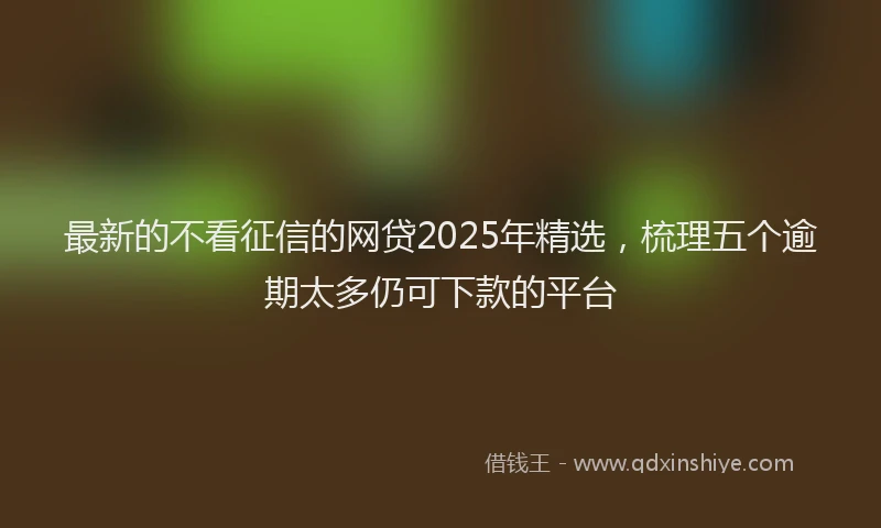 最新的不看征信的网贷2025年精选，梳理五个逾期太多仍可下款的平台