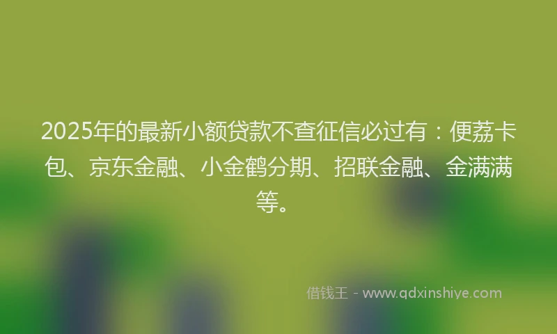 2025年的最新小额贷款不查征信必过有：便荔卡包、京东金融、小金鹤分期、招联金融、金满满等。