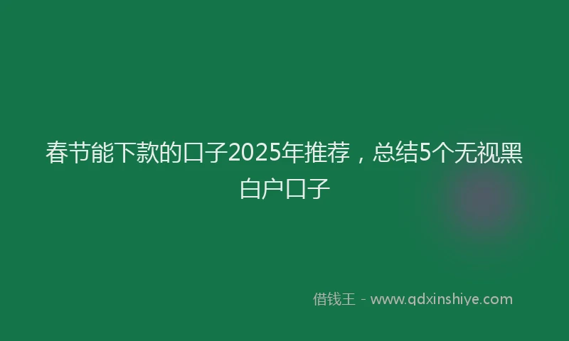 春节能下款的口子2025年推荐，总结5个无视黑白户口子