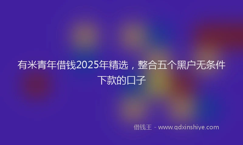 有米青年借钱2025年精选，整合五个黑户无条件下款的口子