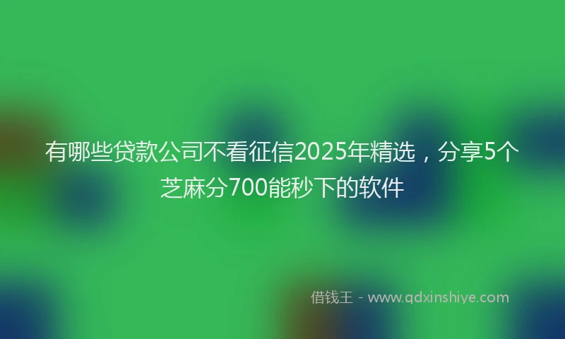 有哪些贷款公司不看征信2025年精选，分享5个芝麻分700能秒下的软件