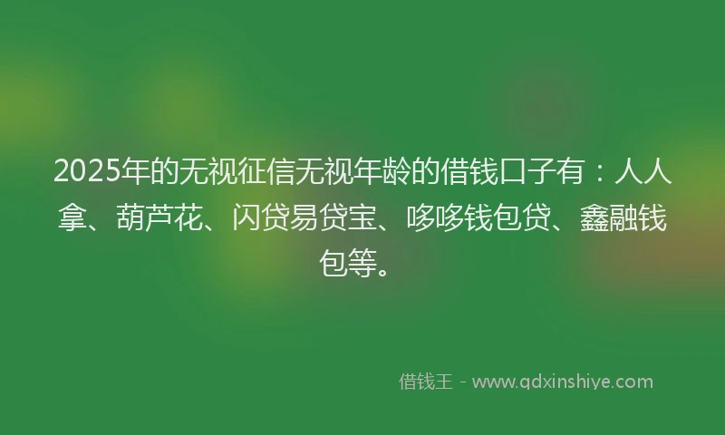2025年的无视征信无视年龄的借钱口子有：人人拿、葫芦花、闪贷易贷宝、哆哆钱包贷、鑫融钱包等。