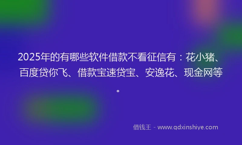2025年的有哪些软件借款不看征信有：花小猪、百度贷你飞、借款宝速贷宝、安逸花、现金网等。