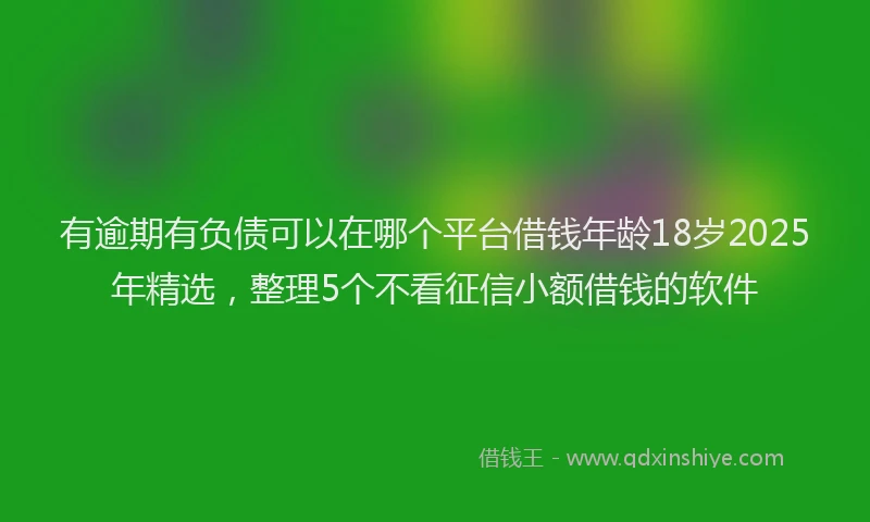 有逾期有负债可以在哪个平台借钱年龄18岁2025年精选，整理5个不看征信小额借钱的软件