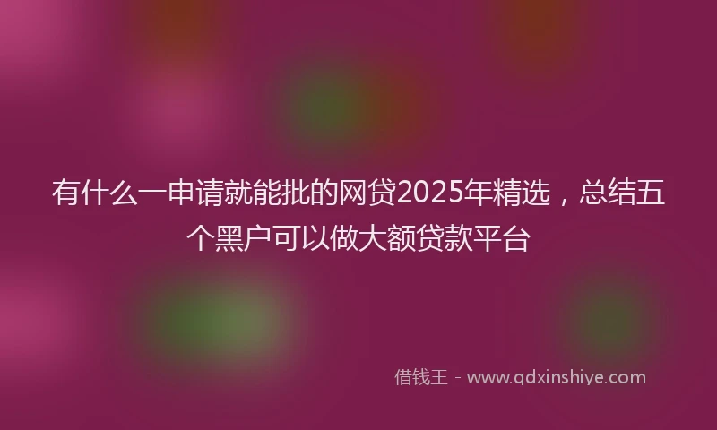 有什么一申请就能批的网贷2025年精选，总结五个黑户可以做大额贷款平台