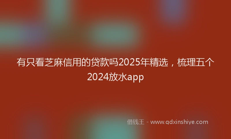 有只看芝麻信用的贷款吗2025年精选，梳理五个2024放水app