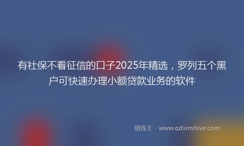 有社保不看征信的口子2025年精选，罗列五个黑户可快速办理小额贷款业务的软件