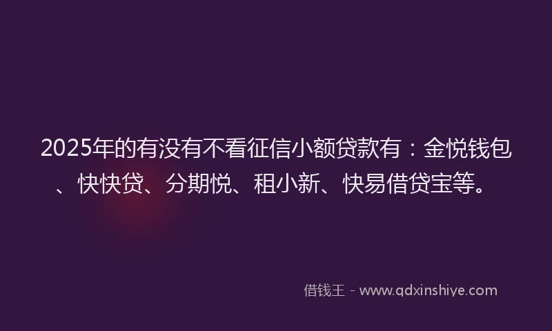 2025年的有没有不看征信小额贷款有：金悦钱包、快快贷、分期悦、租小新、快易借贷宝等。