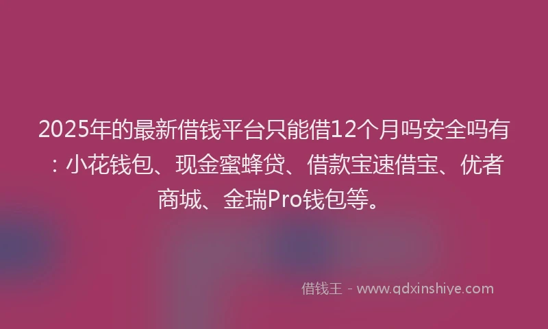 2025年的最新借钱平台只能借12个月吗安全吗有：小花钱包、现金蜜蜂贷、借款宝速借宝、优者商城、金瑞Pro钱包等。