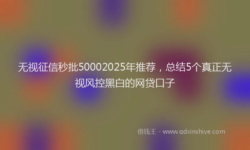 无视征信秒批50002025年推荐，总结5个真正无视风控黑白的网贷口子