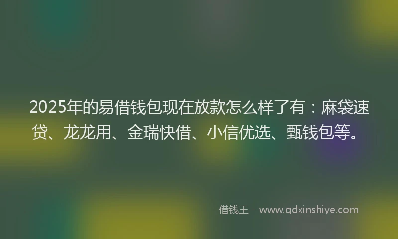 2025年的易借钱包现在放款怎么样了有：麻袋速贷、龙龙用、金瑞快借、小信优选、甄钱包等。