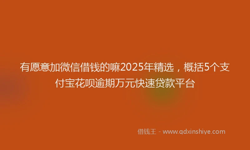 有愿意加微信借钱的嘛2025年精选，概括5个支付宝花呗逾期万元快速贷款平台