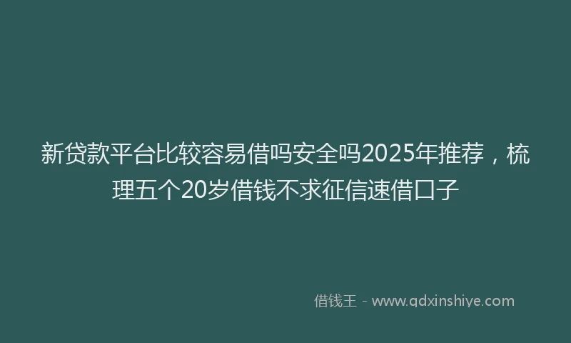 新贷款平台比较容易借吗安全吗2025年推荐，梳理五个20岁借钱不求征信速借口子