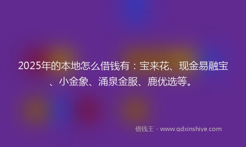 2025年的本地怎么借钱有：宝来花、现金易融宝、小金象、涌泉金服、鹿优选等。