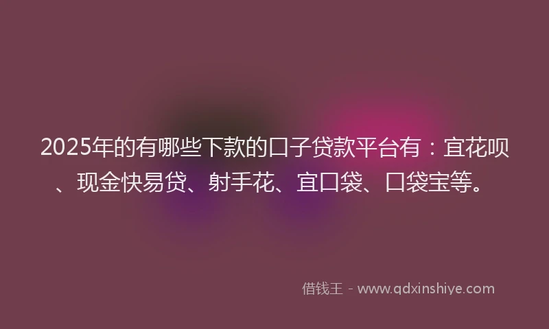 2025年的有哪些下款的口子贷款平台有：宜花呗、现金快易贷、射手花、宜口袋、口袋宝等。