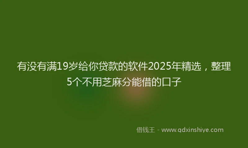有没有满19岁给你贷款的软件2025年精选，整理5个不用芝麻分能借的口子