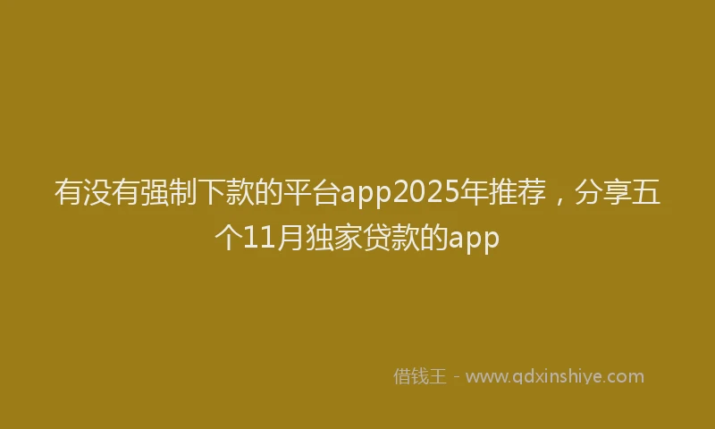 有没有强制下款的平台app2025年推荐，分享五个11月独家贷款的app