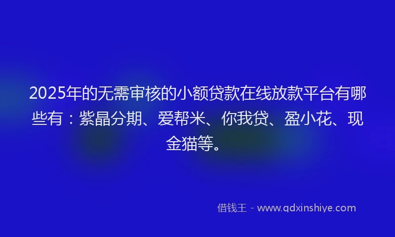 2025年的无需审核的小额贷款在线放款平台有哪些有：紫晶分期、爱帮米、你我贷、盈小花、现金猫等。