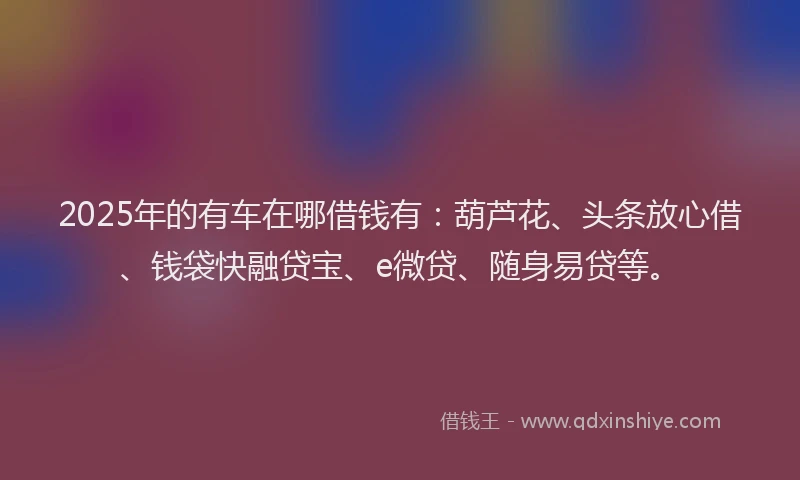2025年的有车在哪借钱有：葫芦花、头条放心借、钱袋快融贷宝、e微贷、随身易贷等。