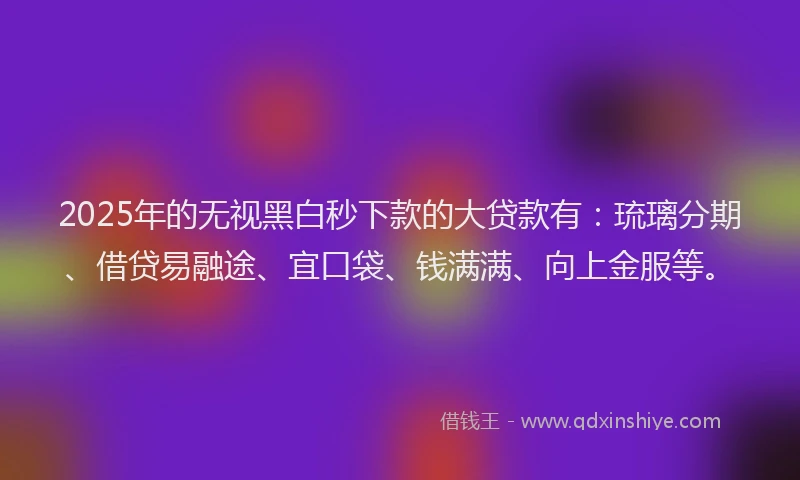 2025年的无视黑白秒下款的大贷款有：琉璃分期、借贷易融途、宜口袋、钱满满、向上金服等。