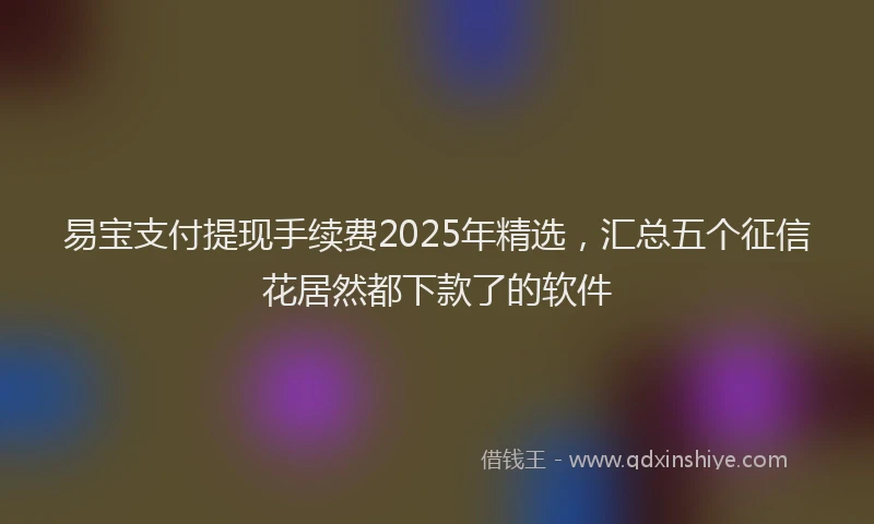 易宝支付提现手续费2025年精选，汇总五个征信花居然都下款了的软件