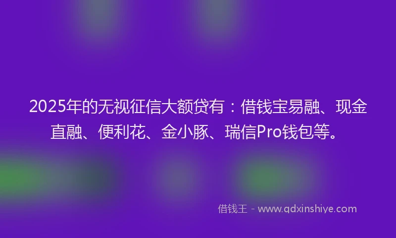 2025年的无视征信大额贷有：借钱宝易融、现金直融、便利花、金小豚、瑞信Pro钱包等。