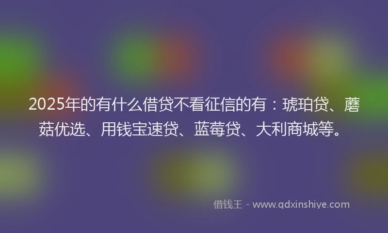 2025年的有什么借贷不看征信的有：琥珀贷、蘑菇优选、用钱宝速贷、蓝莓贷、大利商城等。