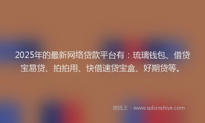 2025年的最新网络贷款平台有：琉璃钱包、借贷宝易贷、拍拍用、快借速贷宝盒、好期贷等。