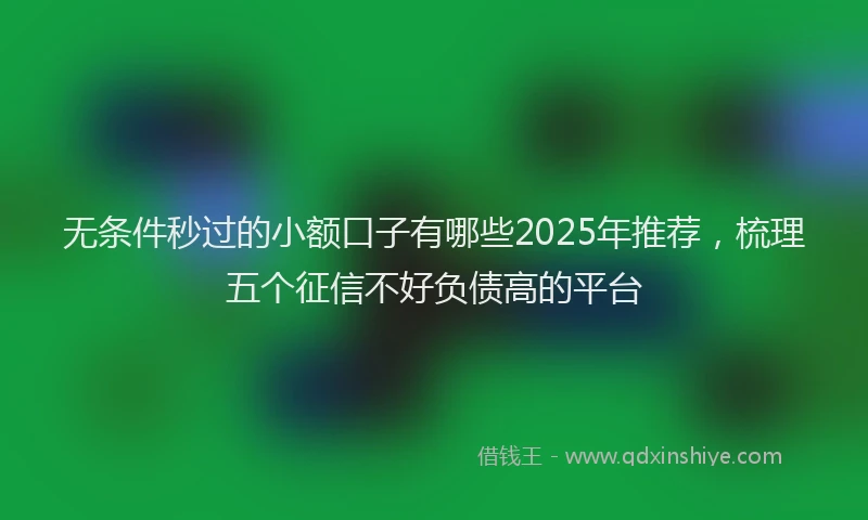 无条件秒过的小额口子有哪些2025年推荐，梳理五个征信不好负债高的平台