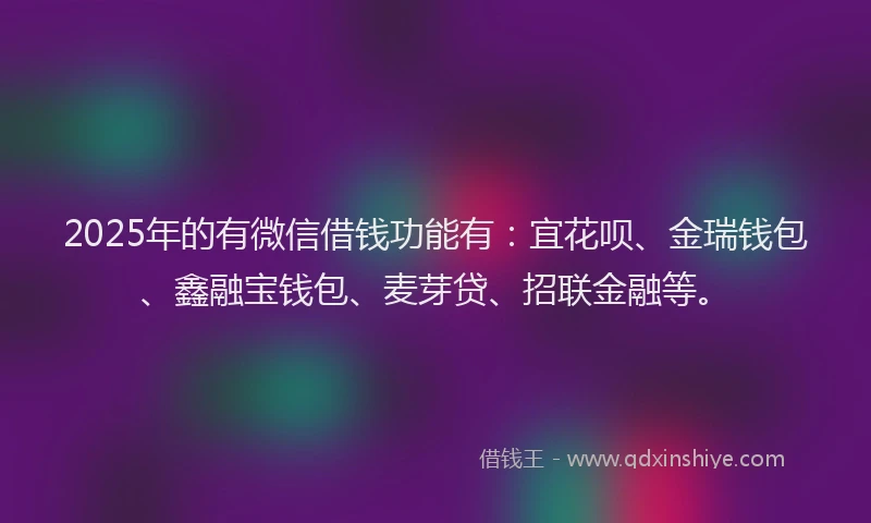2025年的有微信借钱功能有：宜花呗、金瑞钱包、鑫融宝钱包、麦芽贷、招联金融等。