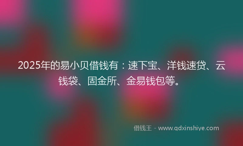 2025年的易小贝借钱有：速下宝、洋钱速贷、云钱袋、固金所、金易钱包等。