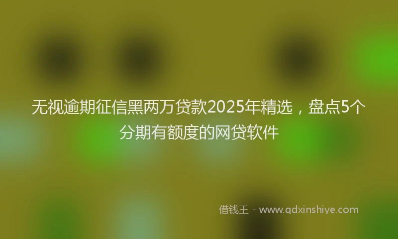 无视逾期征信黑两万贷款2025年精选，盘点5个分期有额度的网贷软件