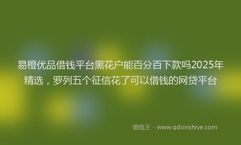 易橙优品借钱平台黑花户能百分百下款吗2025年精选，罗列五个征信花了可以借钱的网贷平台