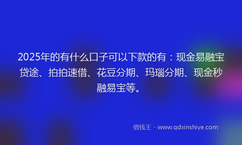 2025年的有什么口子可以下款的有：现金易融宝贷途、拍拍速借、花豆分期、玛瑙分期、现金秒融易宝等。