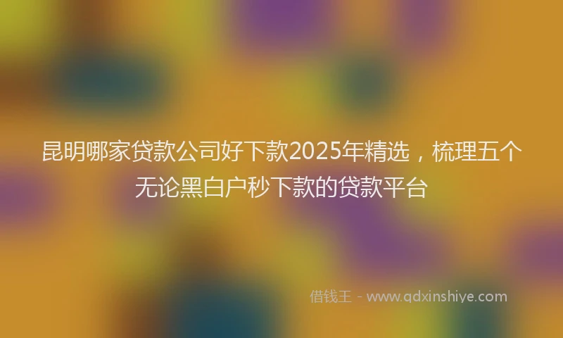 昆明哪家贷款公司好下款2025年精选，梳理五个无论黑白户秒下款的贷款平台