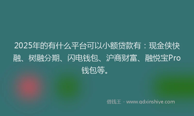 2025年的有什么平台可以小额贷款有：现金侠快融、树融分期、闪电钱包、沪商财富、融悦宝Pro钱包等。