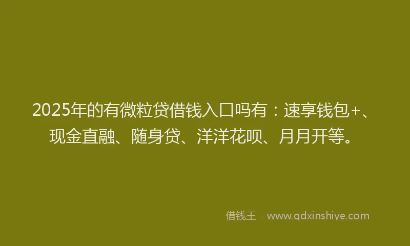 2025年的有微粒贷借钱入口吗有：速享钱包+、现金直融、随身贷、洋洋花呗、月月开等。