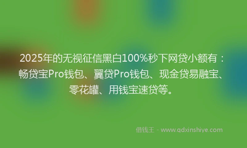 2025年的无视征信黑白100%秒下网贷小额有：畅贷宝Pro钱包、翼贷Pro钱包、现金贷易融宝、零花罐、用钱宝速贷等。