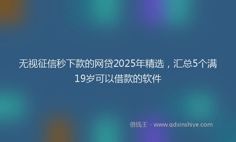 无视征信秒下款的网贷2025年精选，汇总5个满19岁可以借款的软件