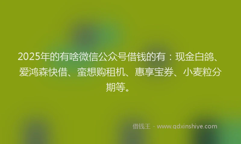 2025年的有啥微信公众号借钱的有：现金白鸽、爱鸿森快借、蛮想购租机、惠享宝券、小麦粒分期等。