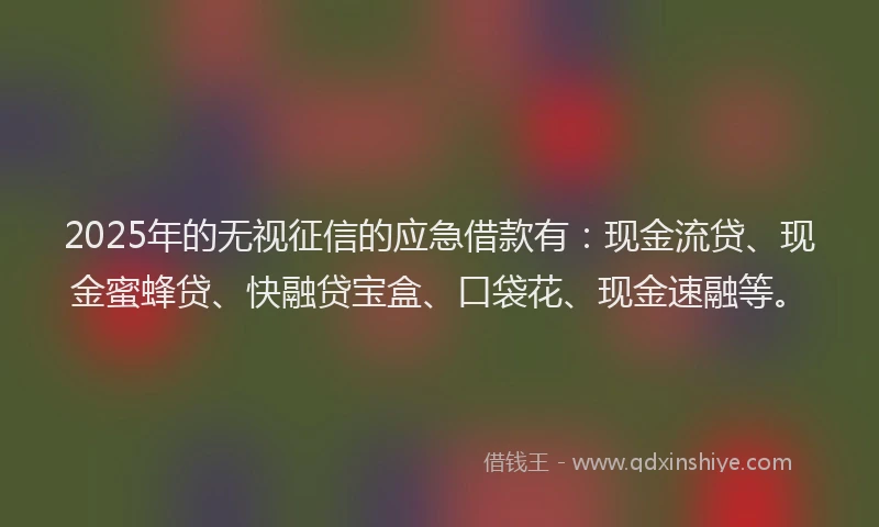 2025年的无视征信的应急借款有：现金流贷、现金蜜蜂贷、快融贷宝盒、口袋花、现金速融等。